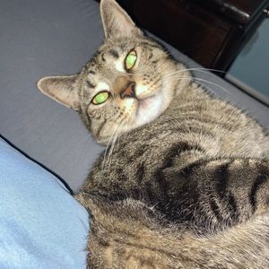 Meet your Posher, Violet